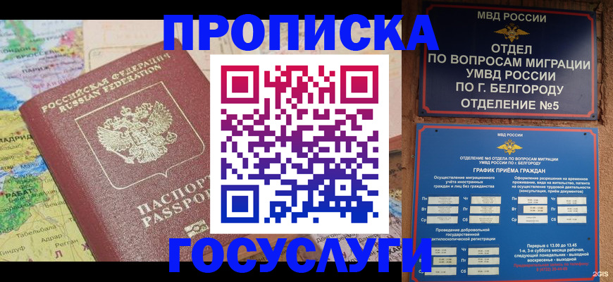 прописка регистрация в Камчатском крае